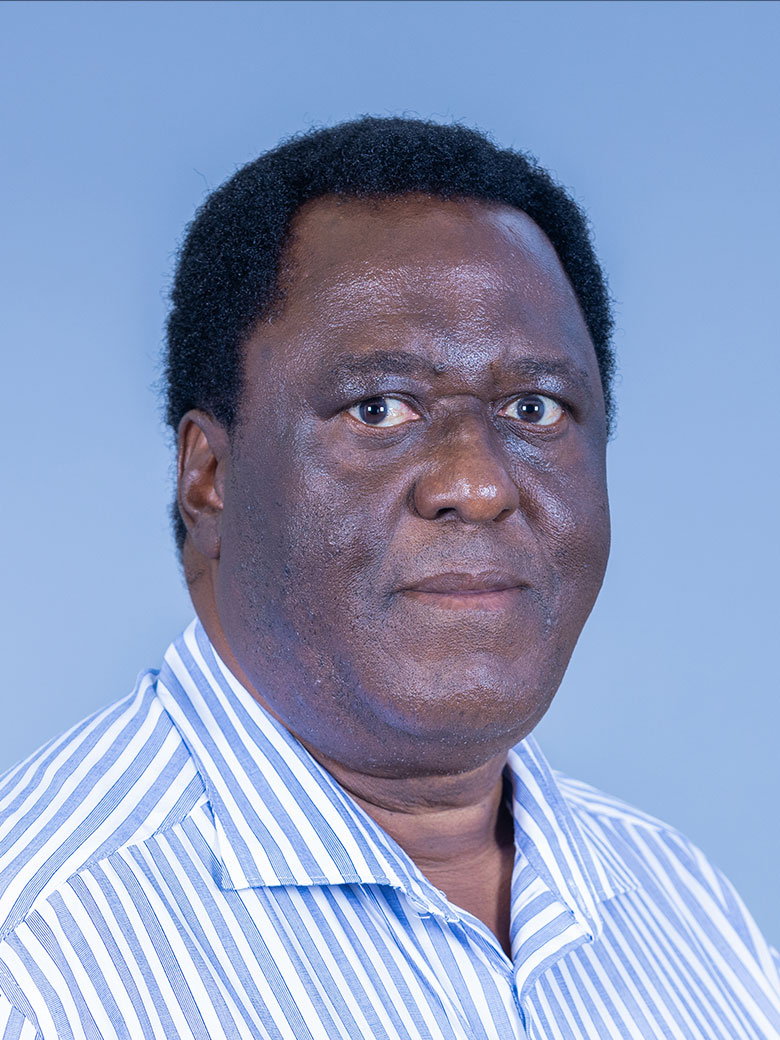 Prof Mokoko Sebola